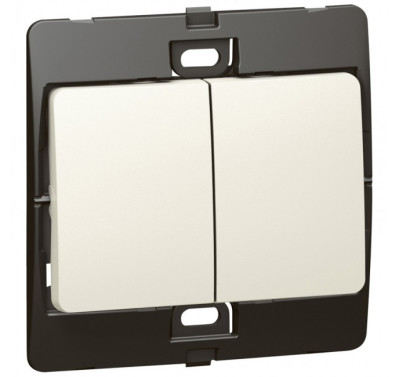 Công tắc đôi 10A - 250V màu ngọc trai