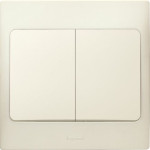 BỘ CÔNG TẮC ĐÔI 